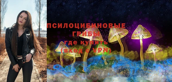 СК Волосово